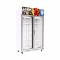 SANDEN COOLER 2DOOR 290L 5-SHELFS(YEM-1100)