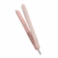 Panasonic ionity 2-Way Hair Straightener & Styler (EHHV31-P421)